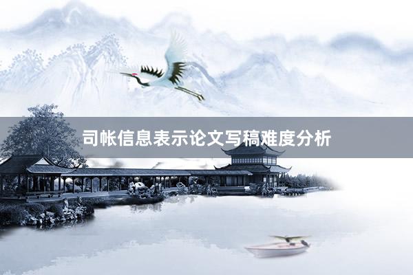 司帐信息表示论文写稿难度分析
