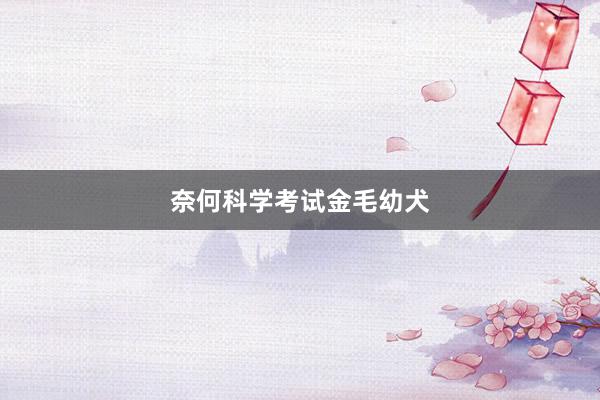 奈何科学考试金毛幼犬