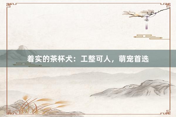 着实的茶杯犬：工整可人，萌宠首选